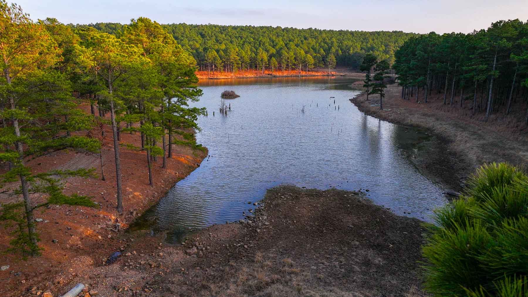 Five Stone Ranch property picture 50 of 88