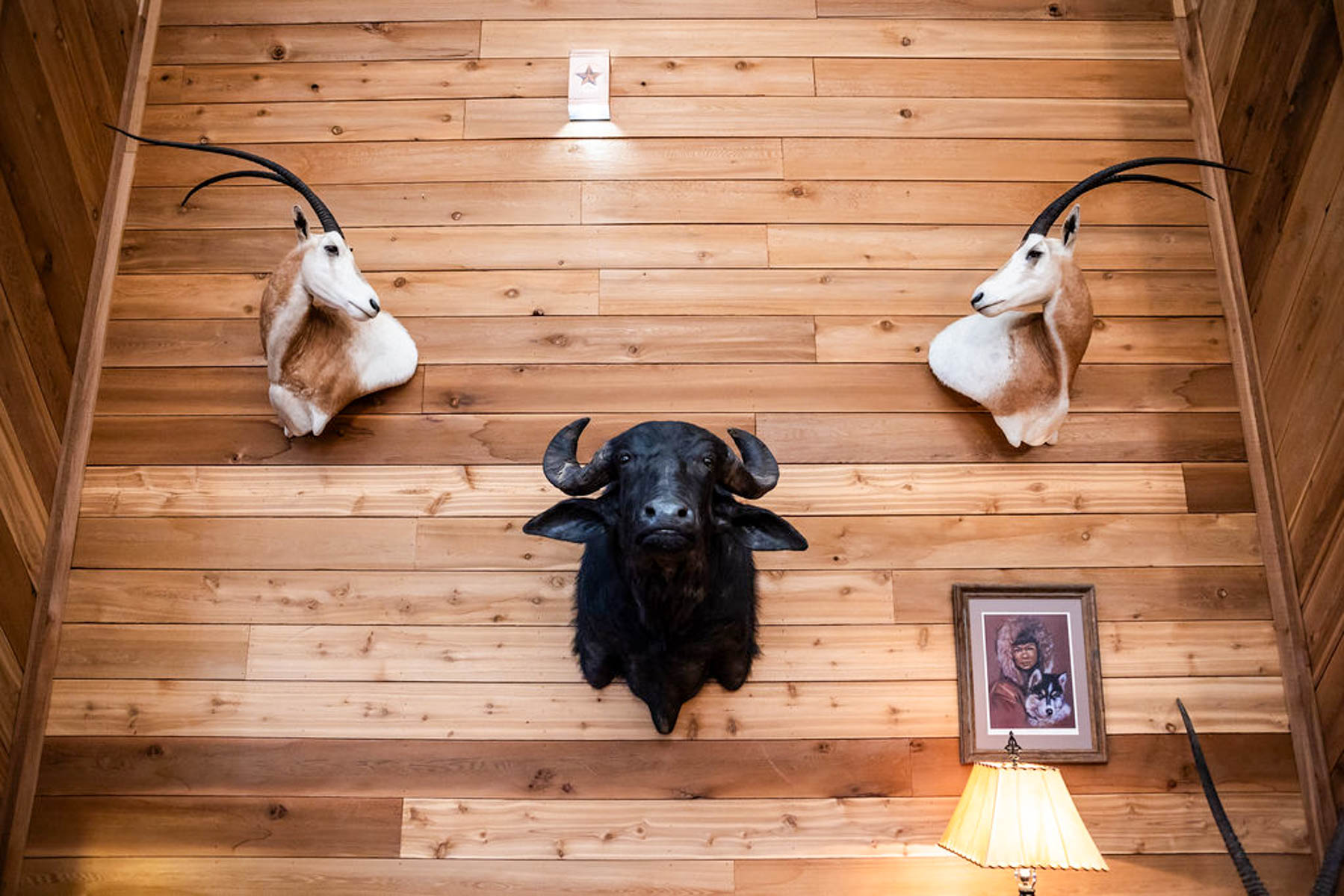 Five Stone Ranch property picture 16 of 88