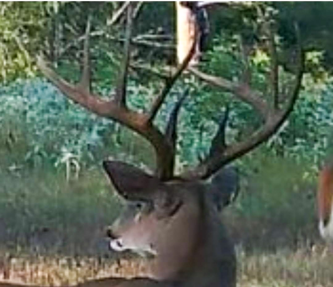 The Ranch 23 property picture 64 of 70