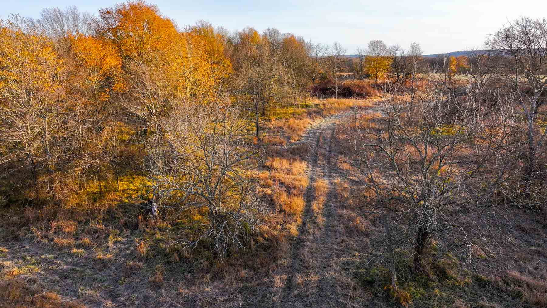 The Ranch 23 property picture 42 of 70