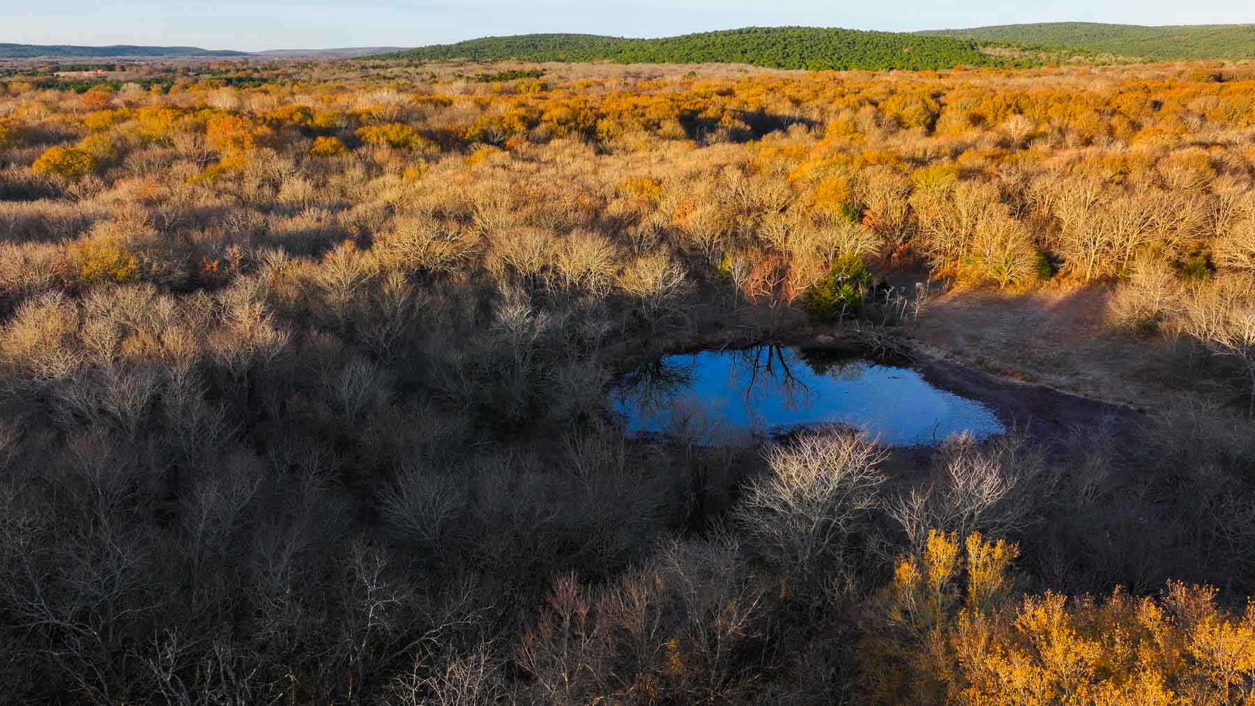The Ranch 23 property picture 38 of 70