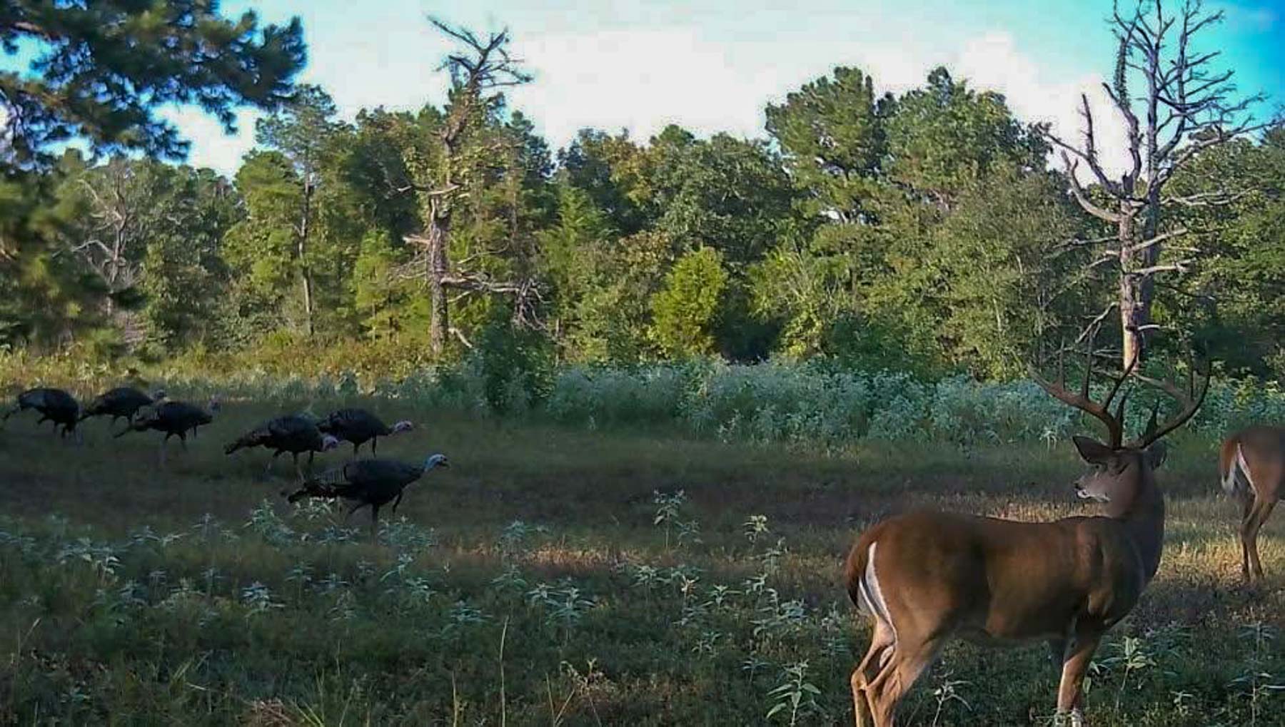 The Ranch 23 property picture 65 of 70