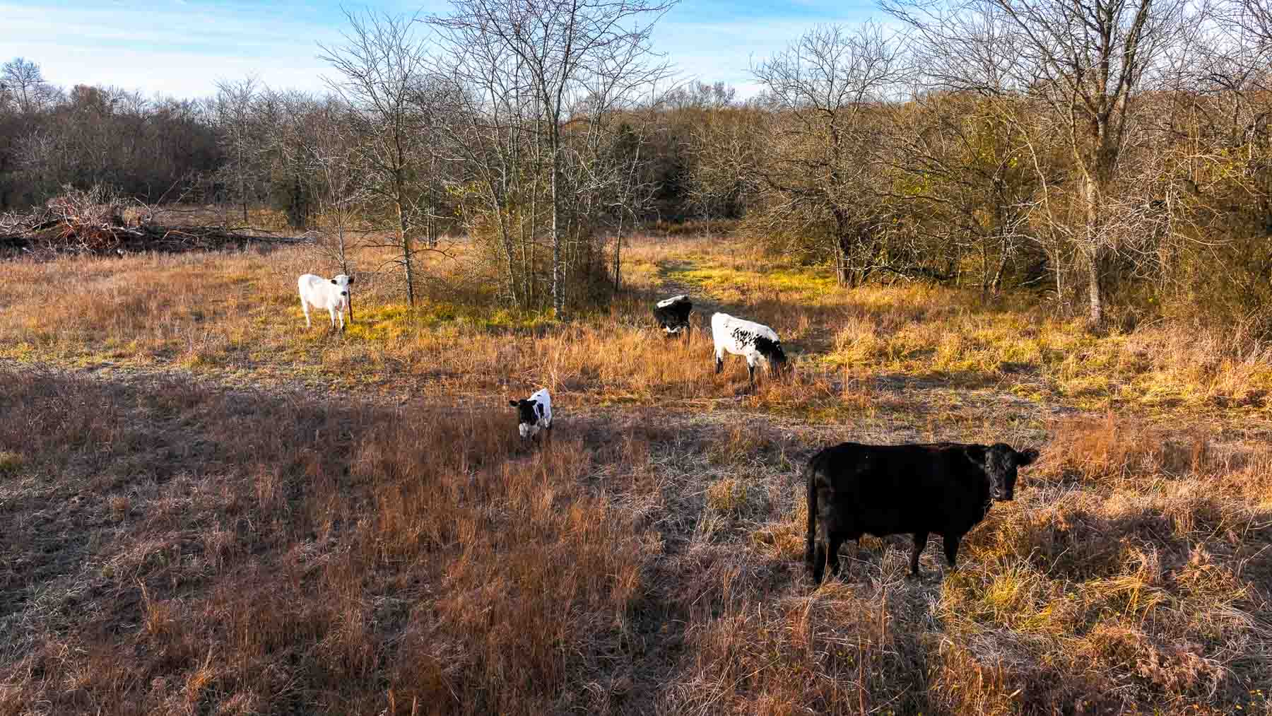 The Ranch 23 property picture 50 of 70