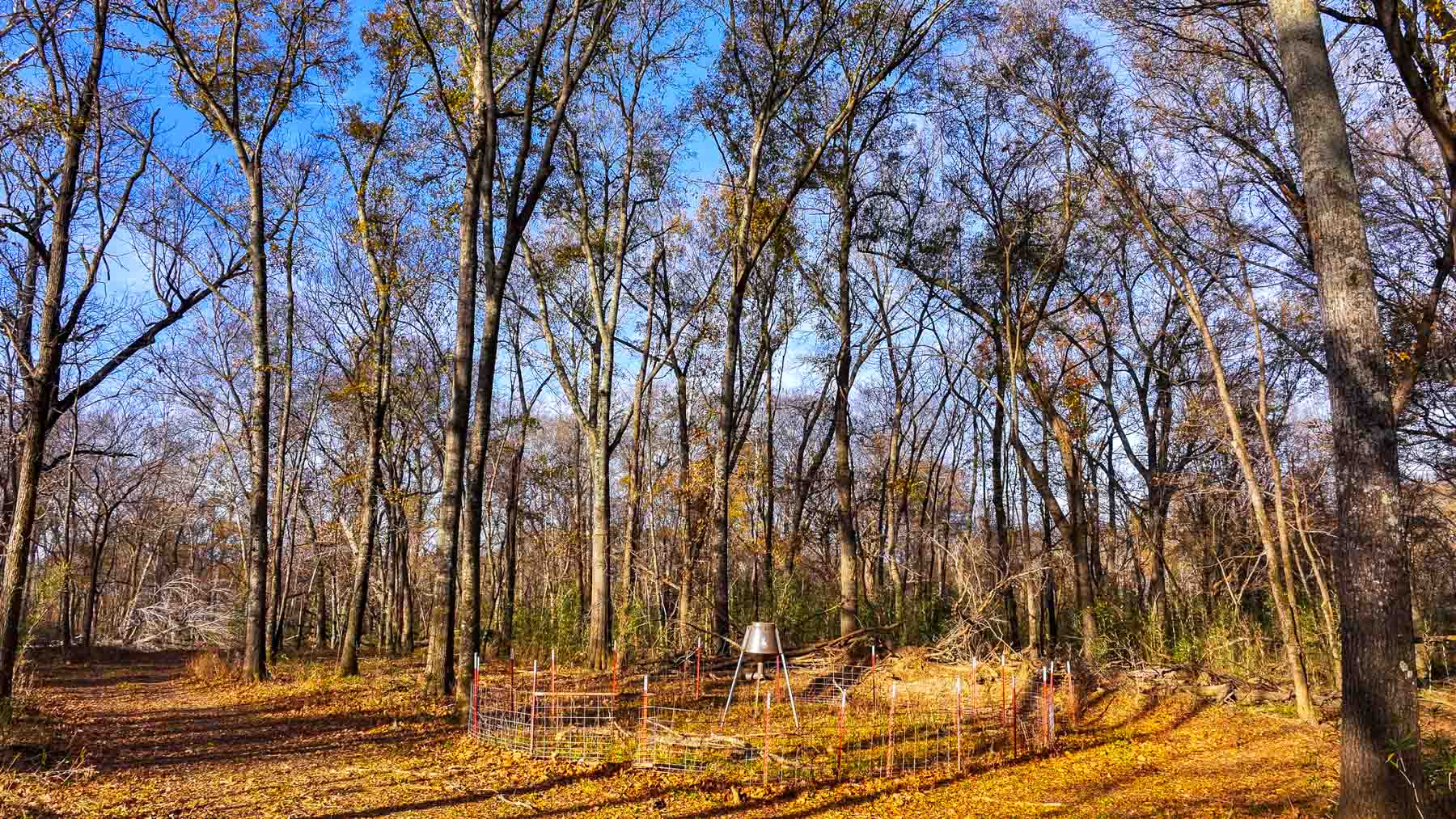 The Ranch 23 property picture 31 of 70