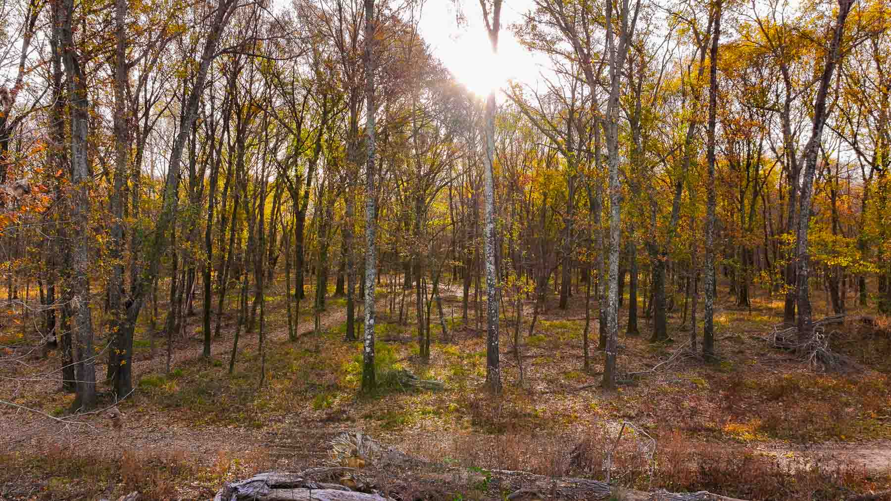 The Ranch 23 property picture 55 of 70