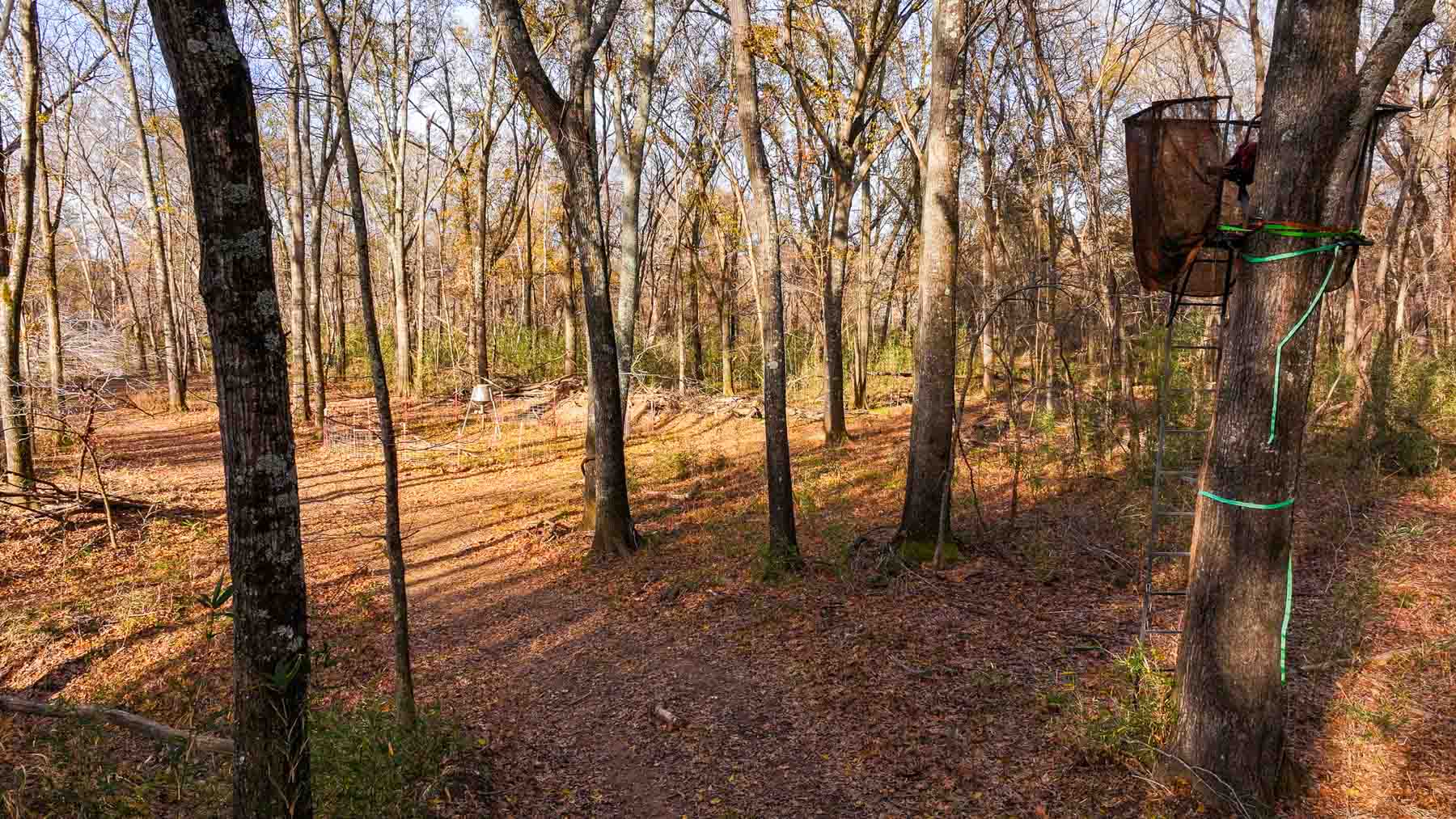 The Ranch 23 property picture 66 of 70