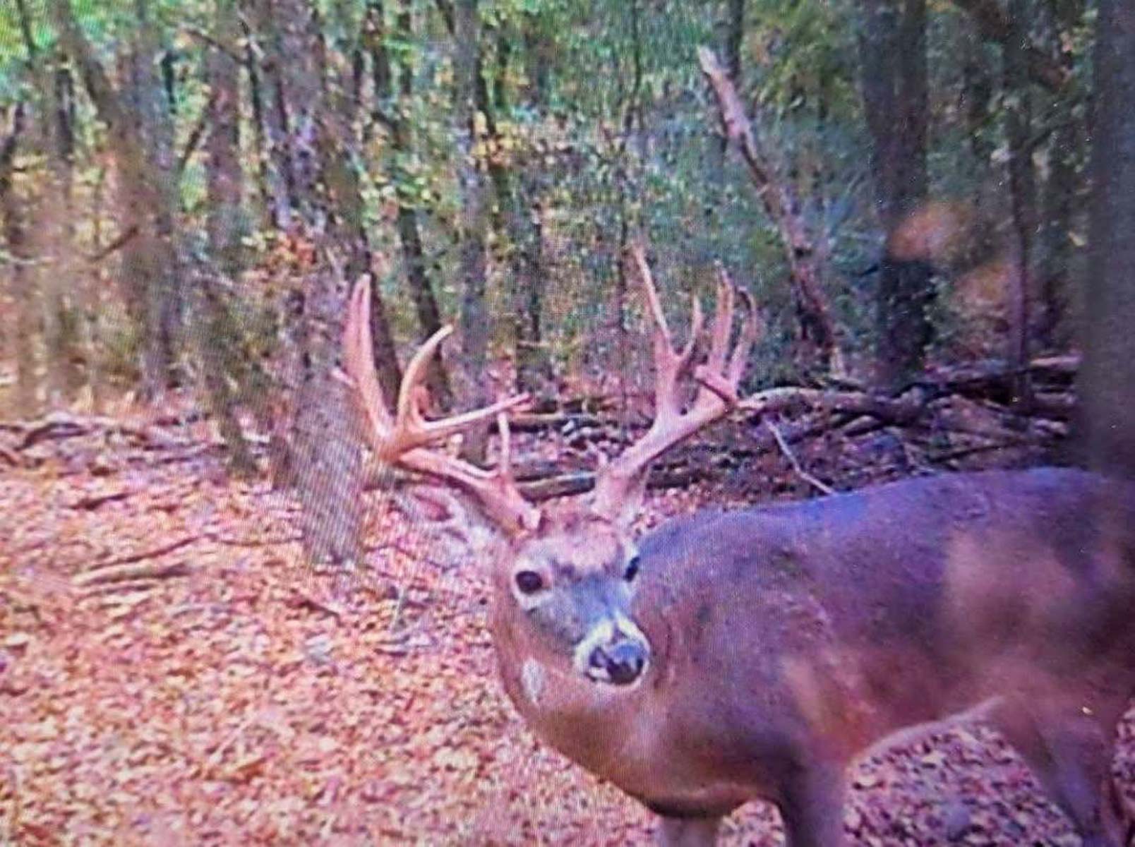 The Ranch 23 property picture 30 of 70