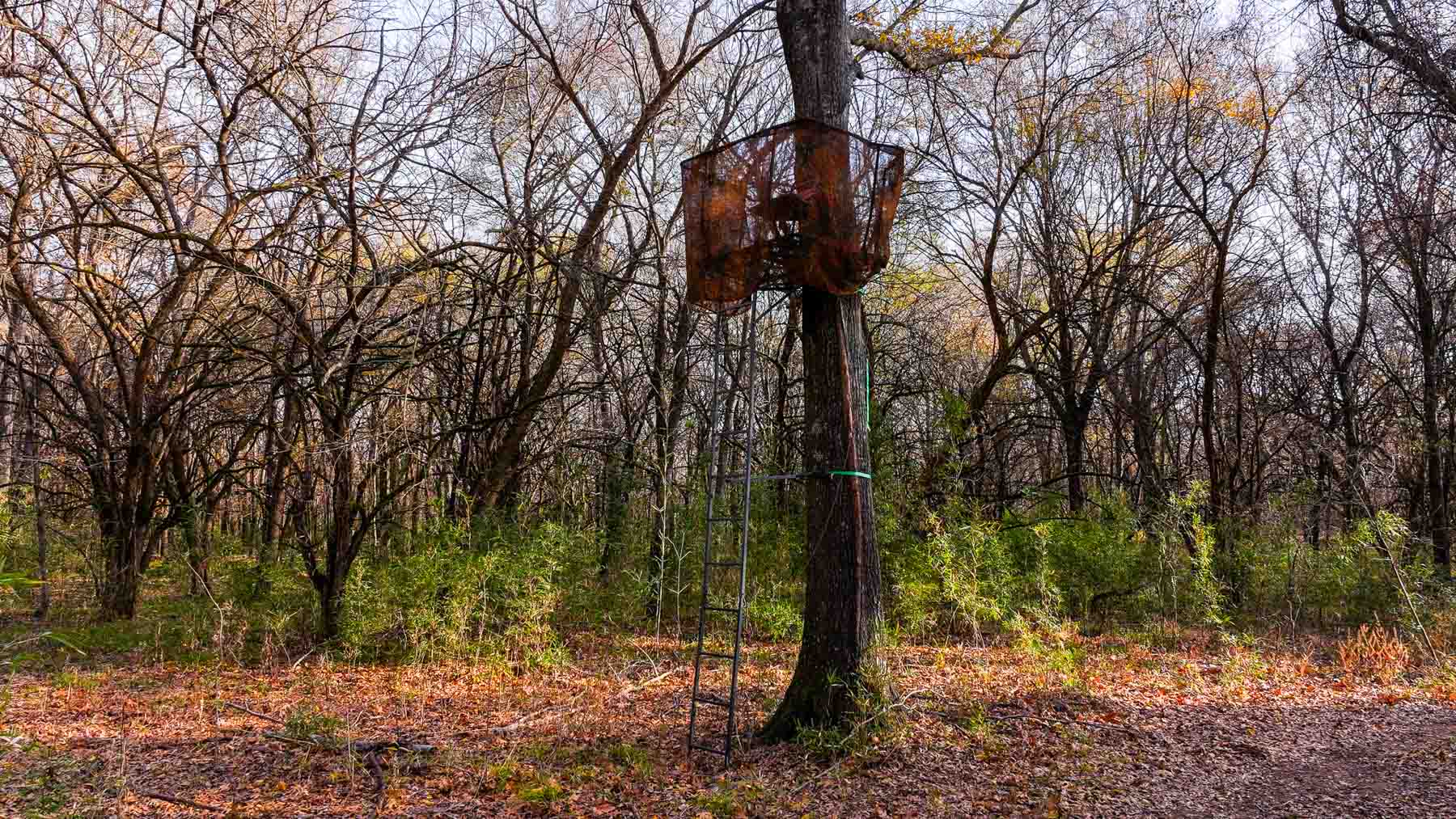 The Ranch 23 property picture 32 of 70