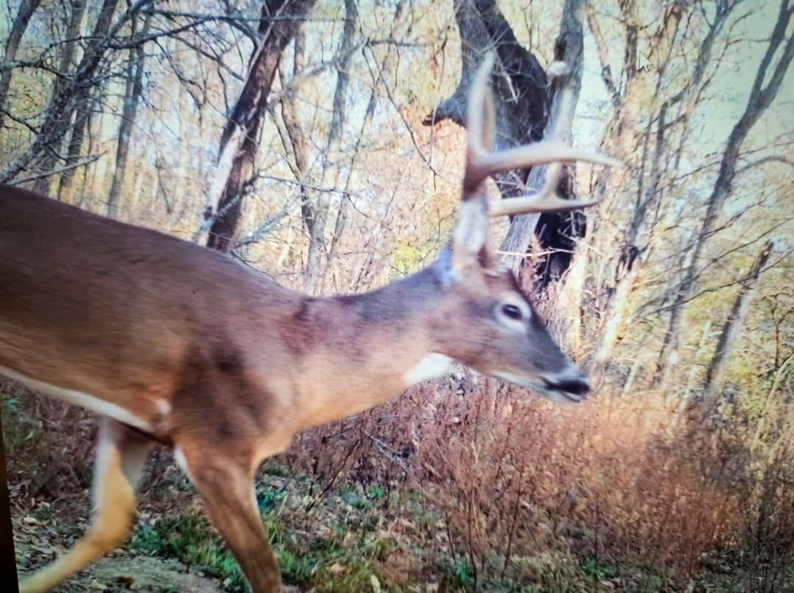 The Ranch 23 property picture 63 of 70