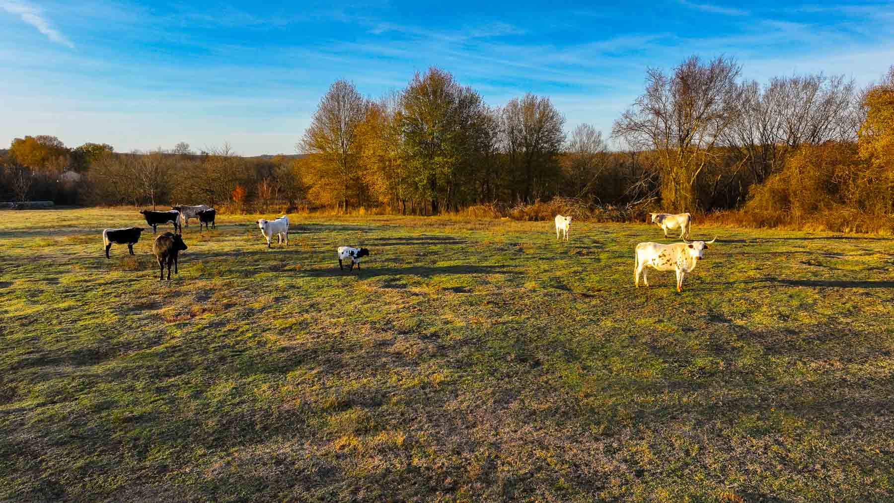 The Ranch 23 property picture 4 of 70