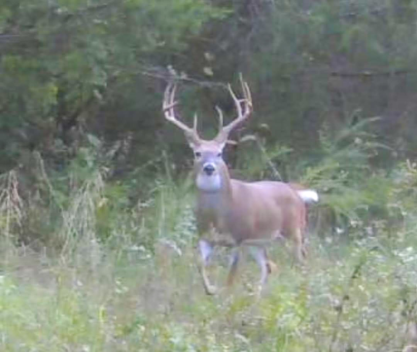 The Ranch 23 property picture 29 of 70