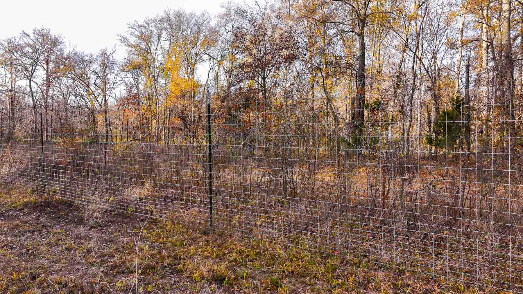 The Ranch 23 property picture 57 of 70