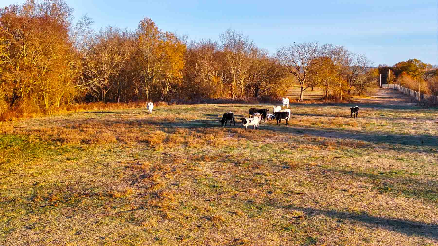 The Ranch 23 property picture 37 of 70