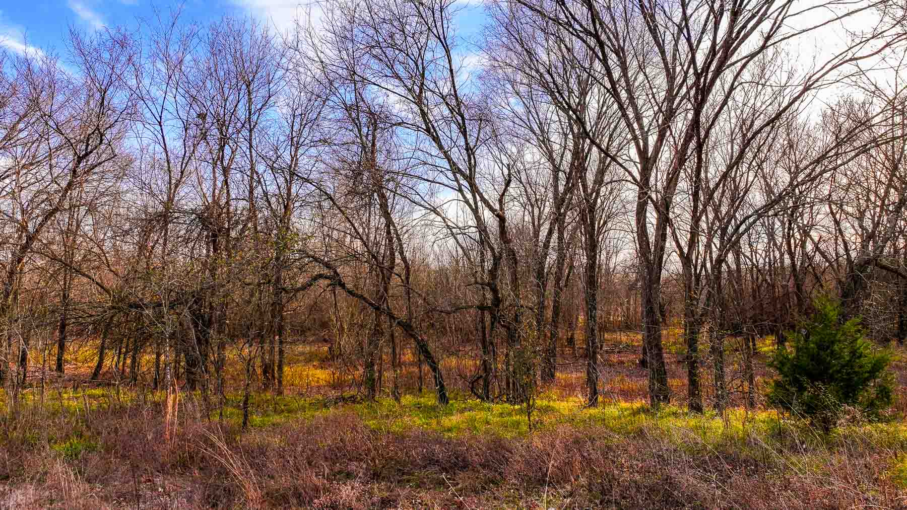 Blue River Bottom property picture 31 of 50
