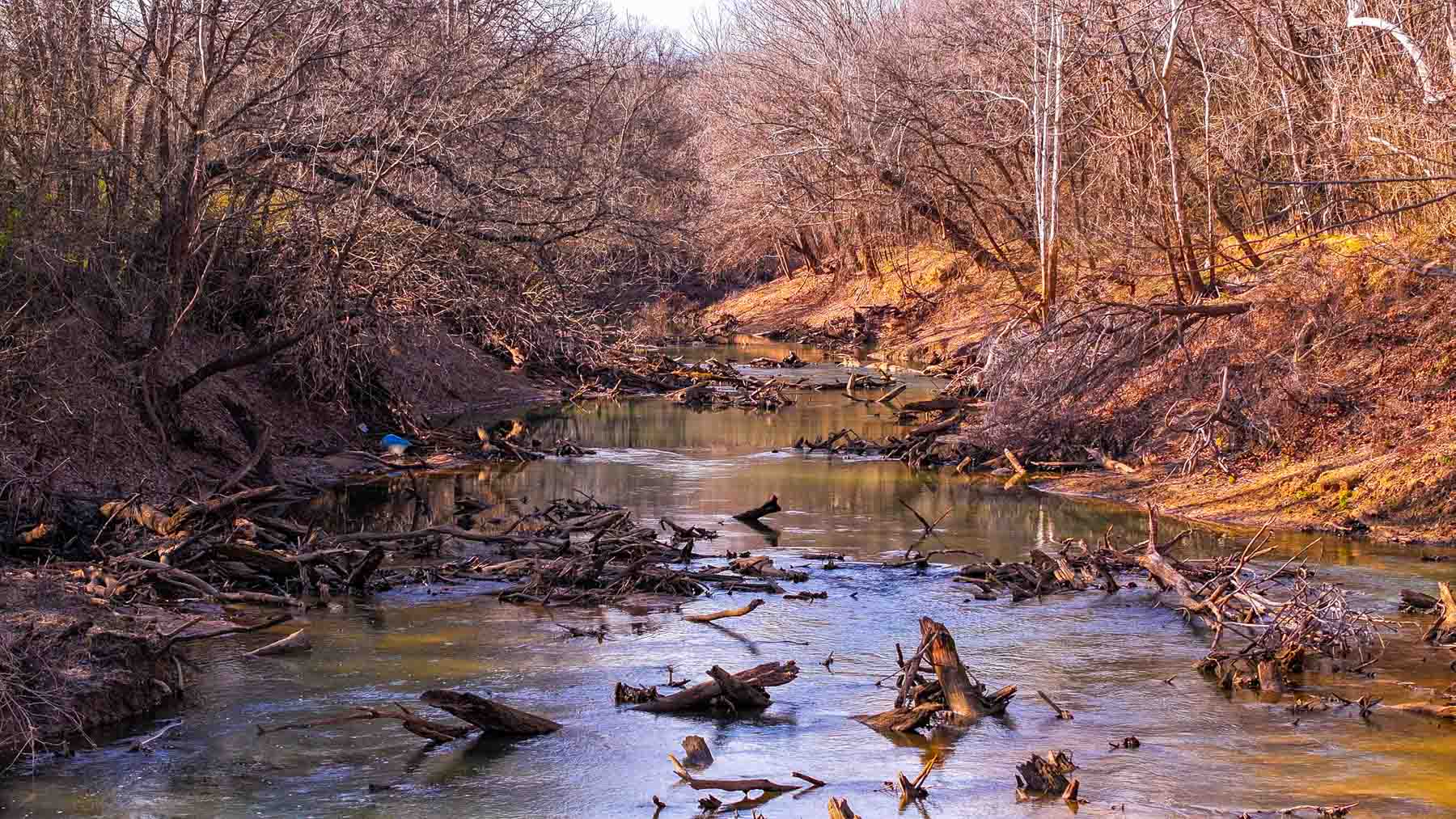 Blue River Bottom property picture 15 of 50