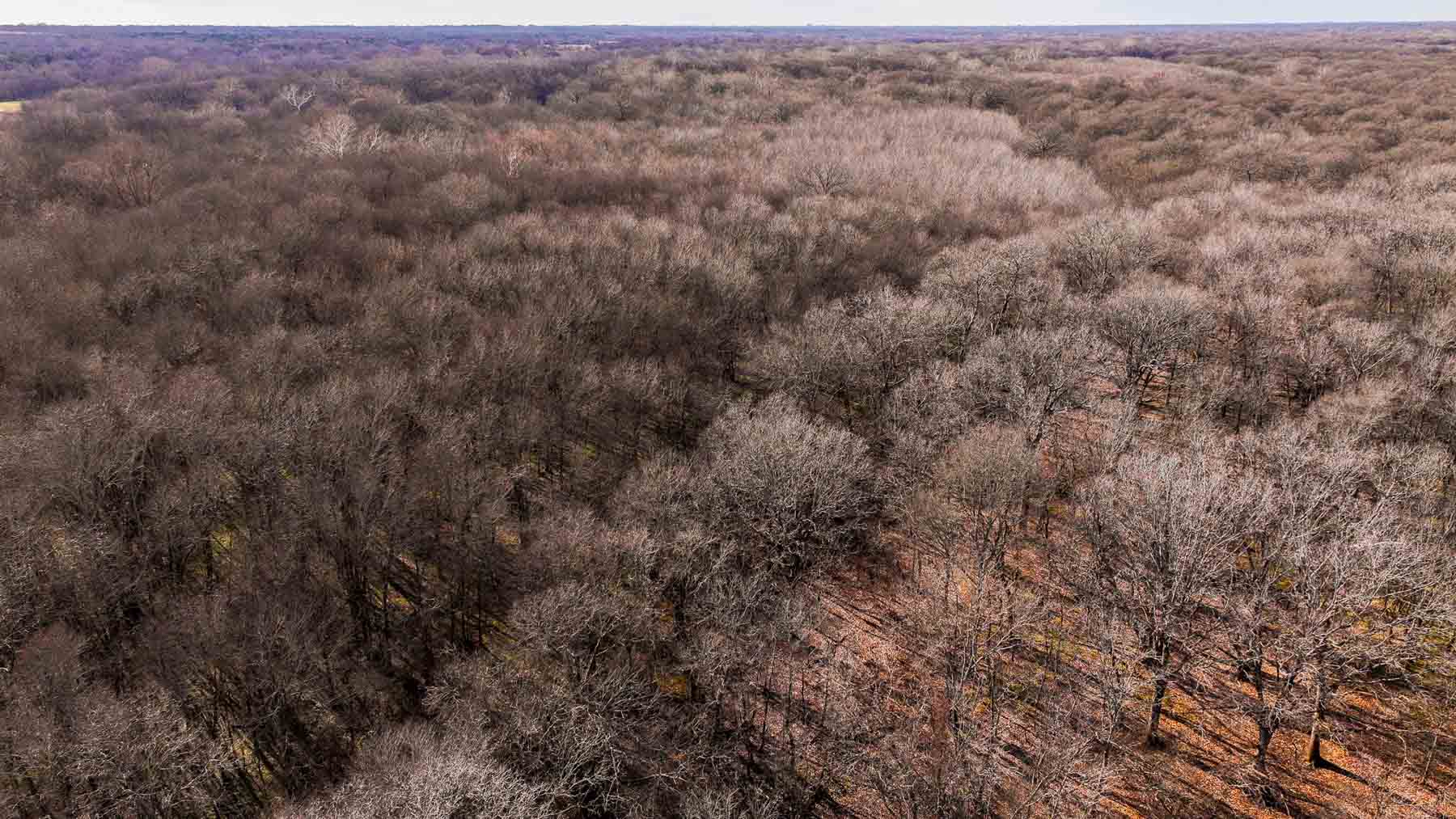 Blue River Bottom property picture 40 of 50