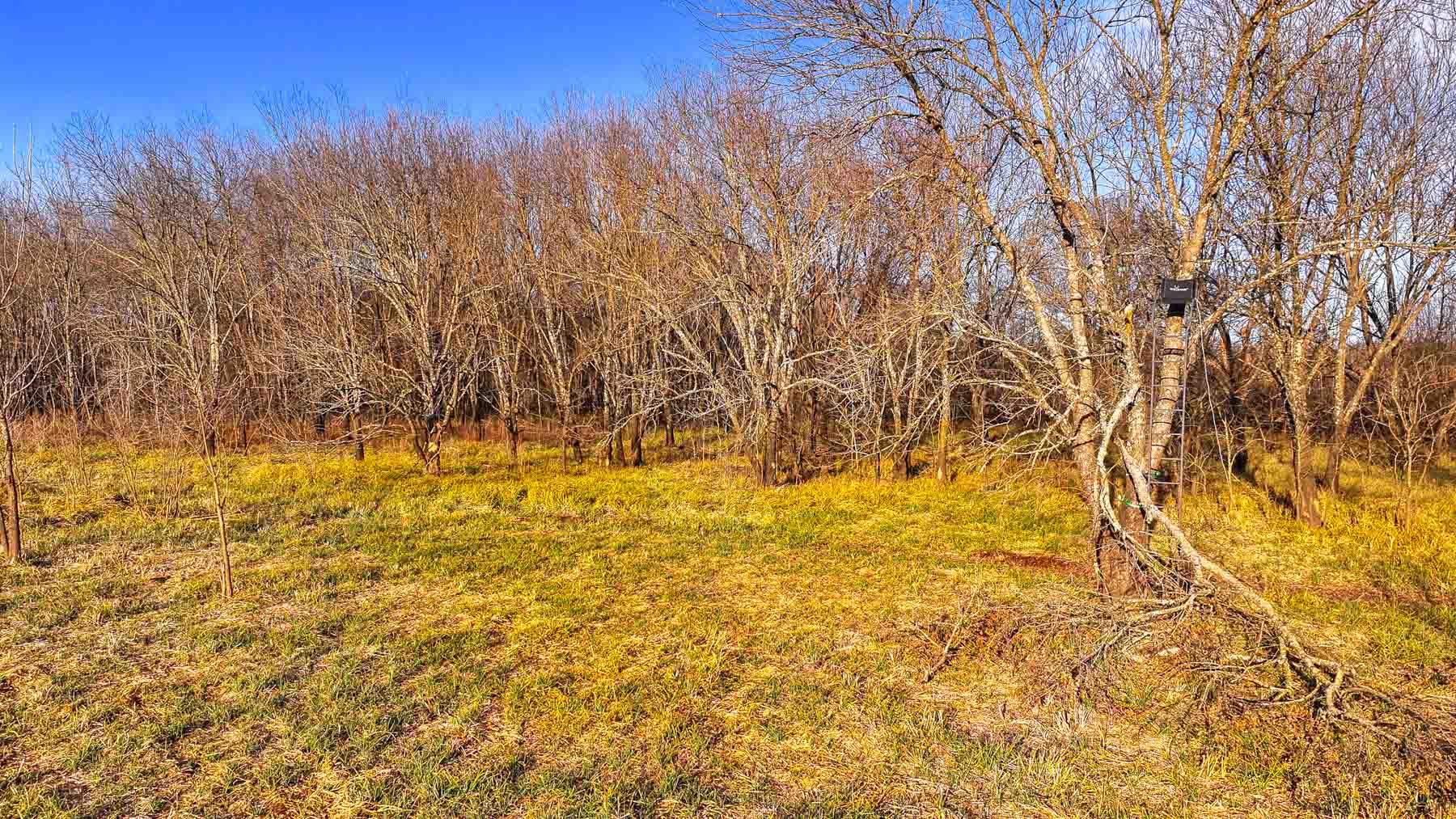 Blue River Bottom property picture 33 of 50