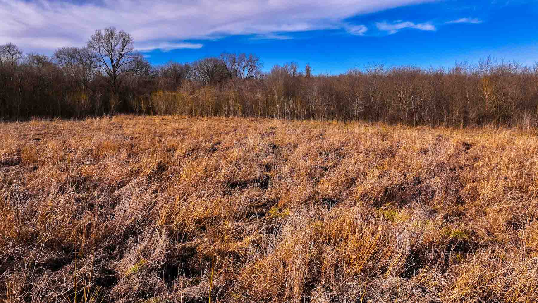 Blue River Bottom property picture 20 of 50