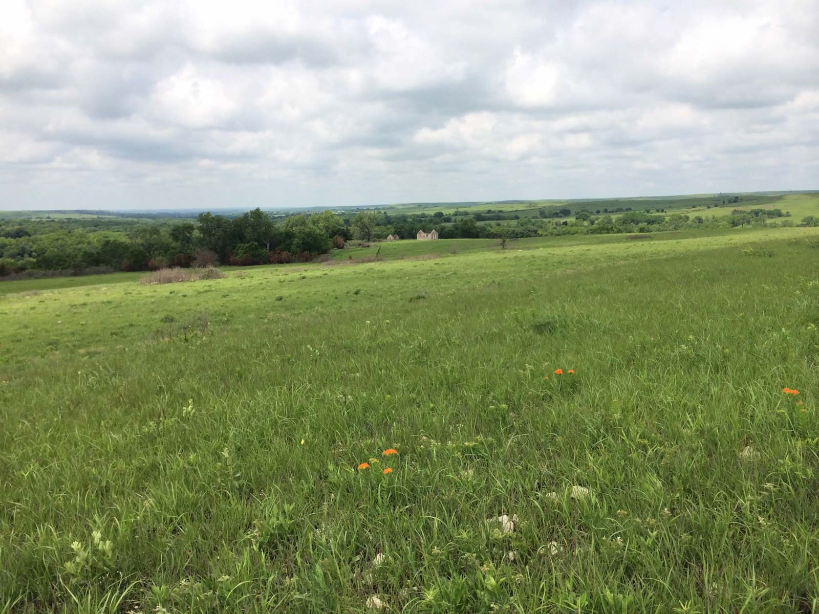 Nehring Creek property picture 1 of 25