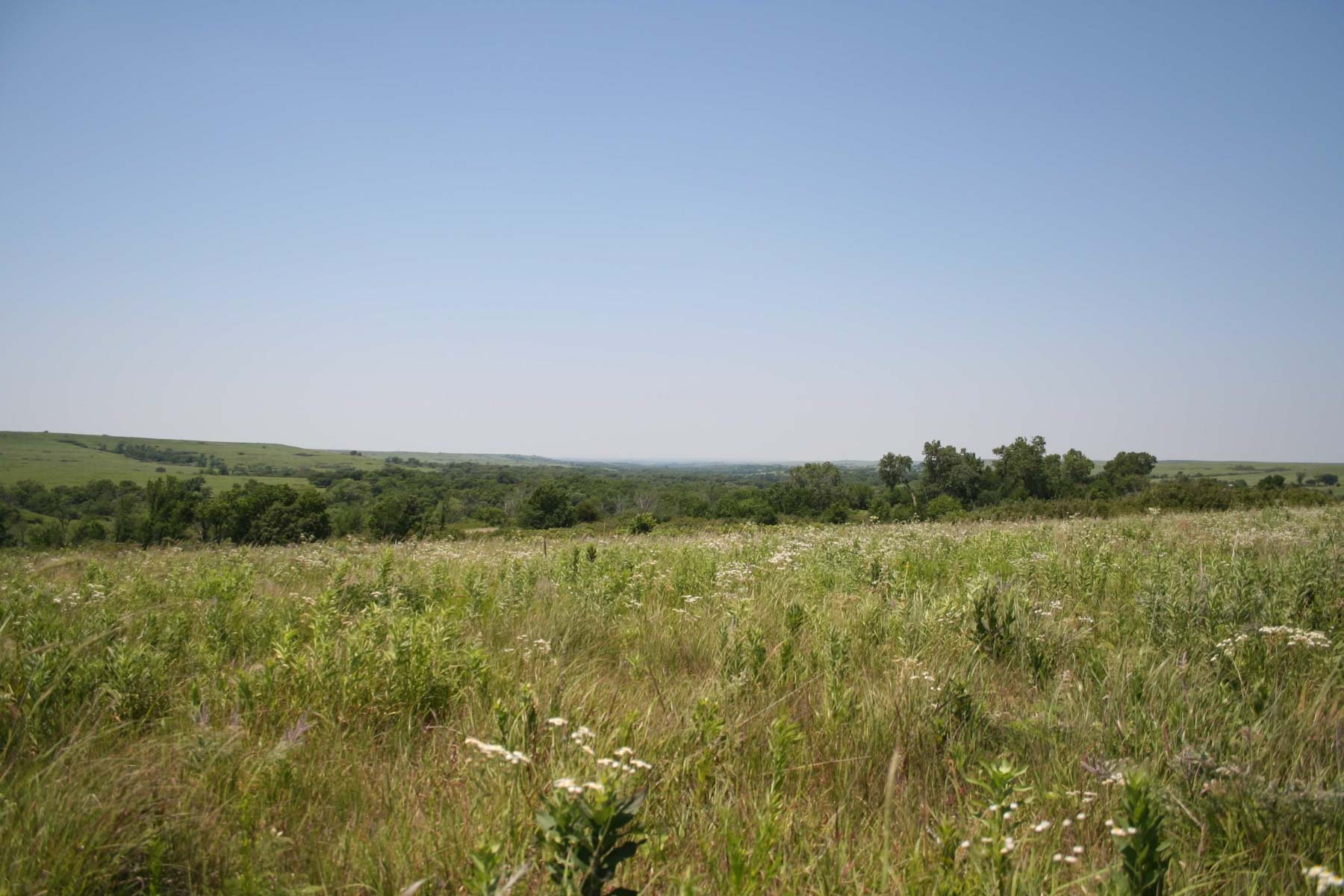 Nehring Creek property picture 19 of 25