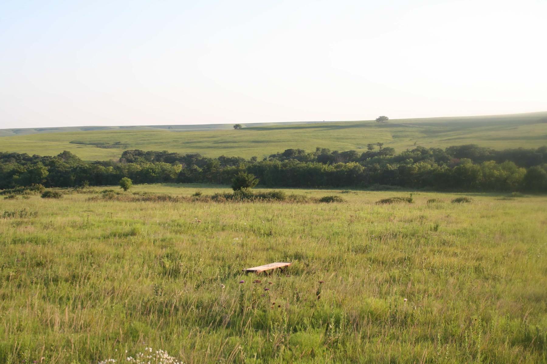 Nehring Creek property picture 4 of 25