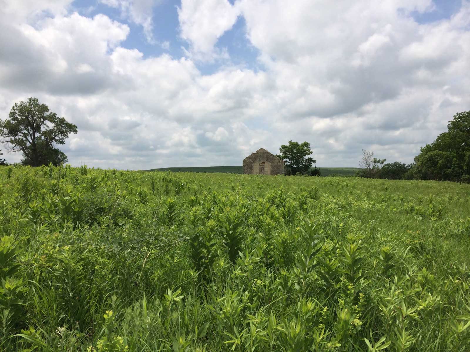 Nehring Creek property picture 11 of 25