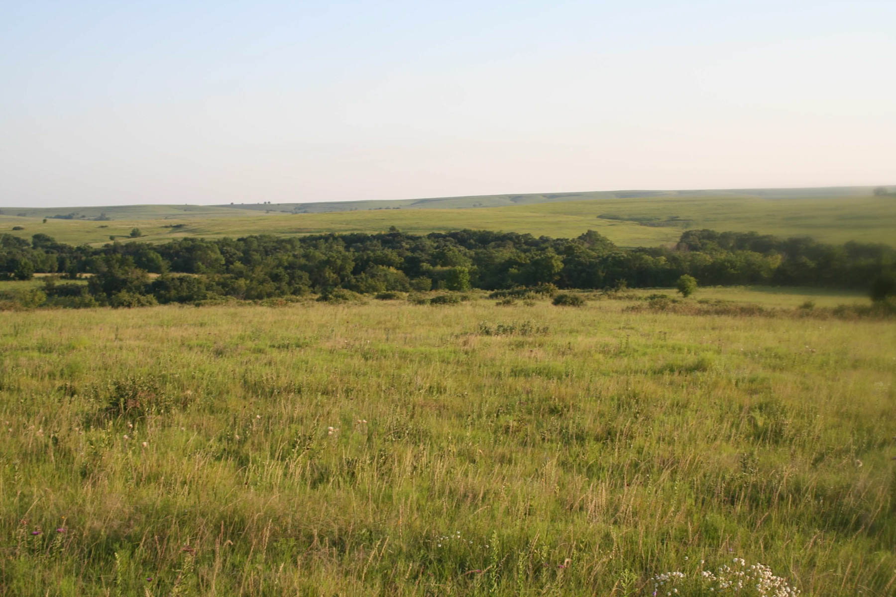 Nehring Creek property picture 3 of 25