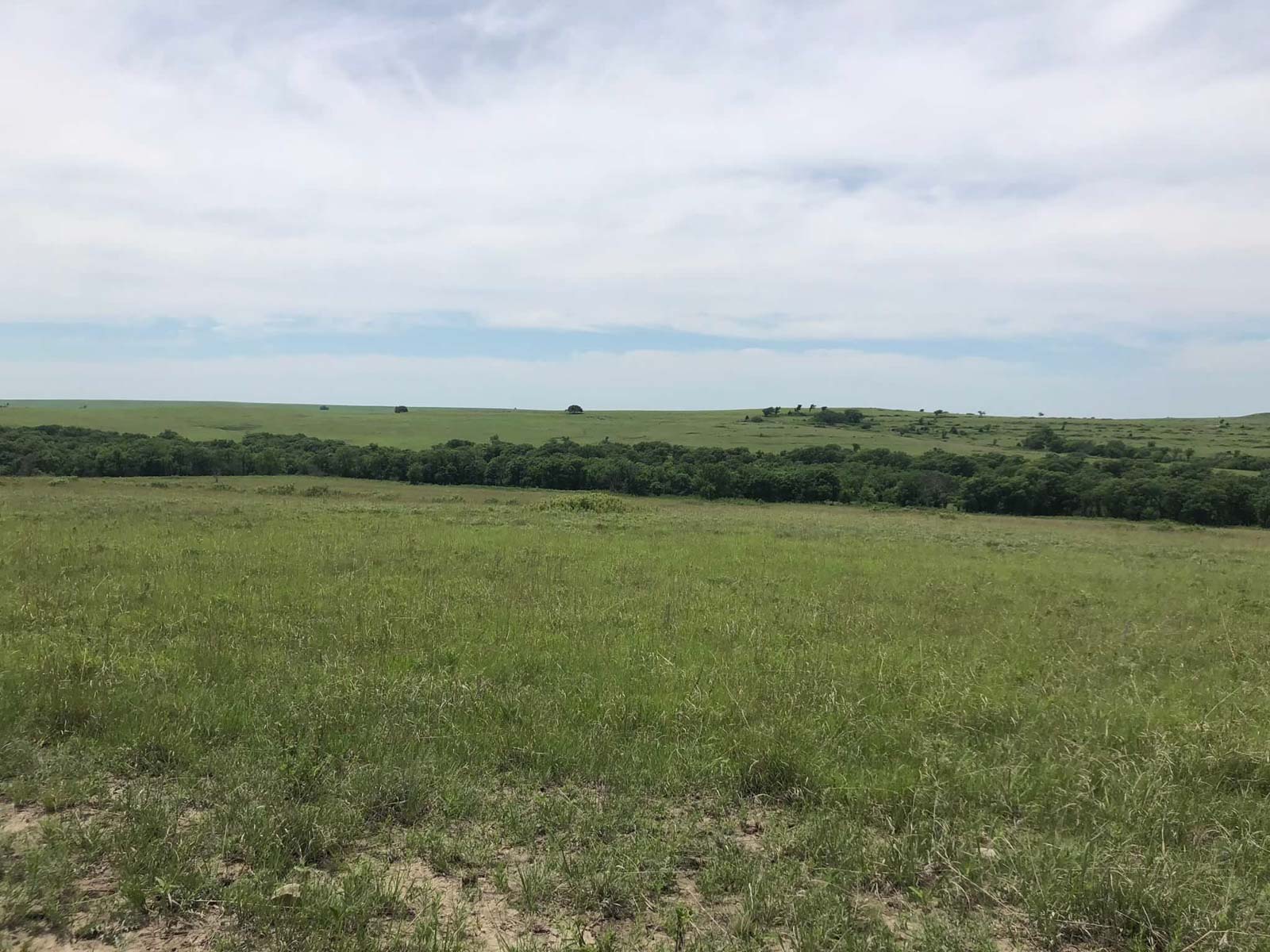 Nehring Creek property picture 13 of 25