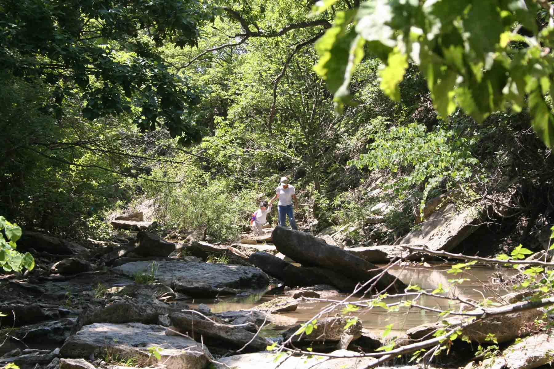 Nehring Creek property picture 2 of 25