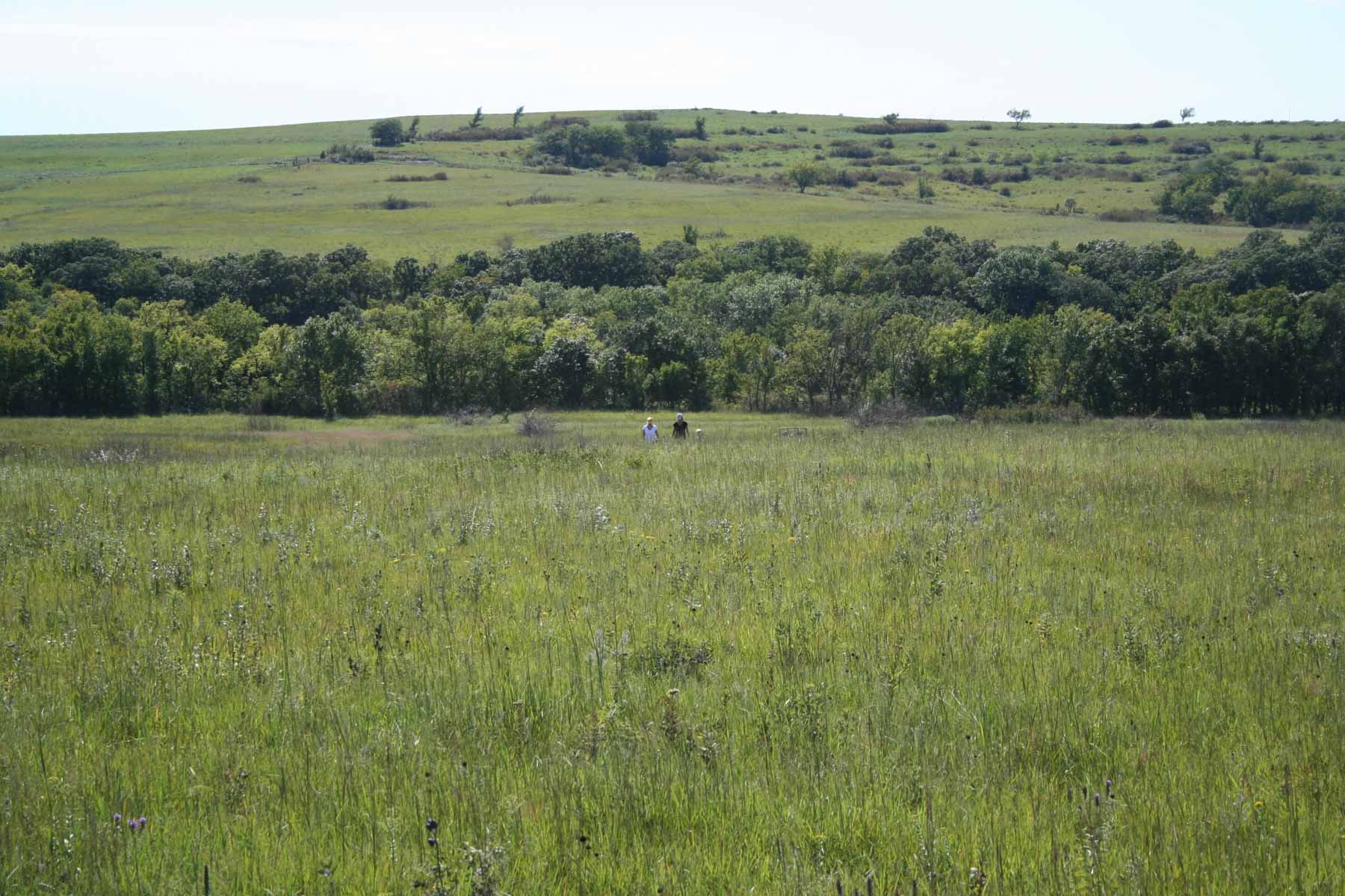 Nehring Creek property picture 8 of 25