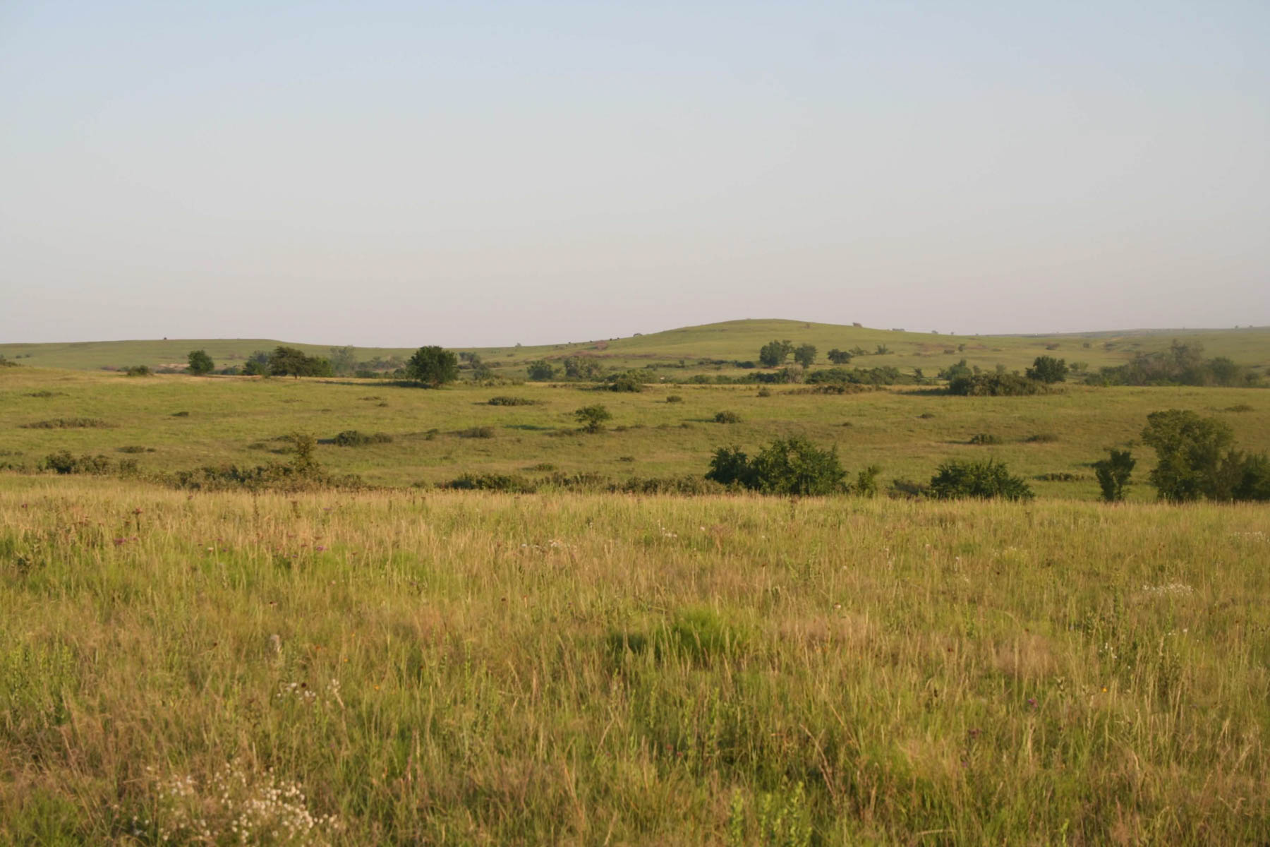 Nehring Creek property picture 25 of 25