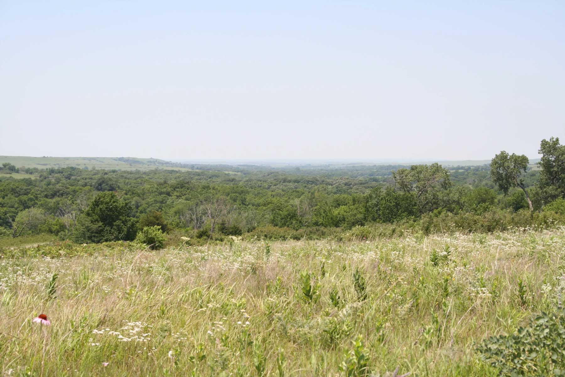 Nehring Creek property picture 21 of 25