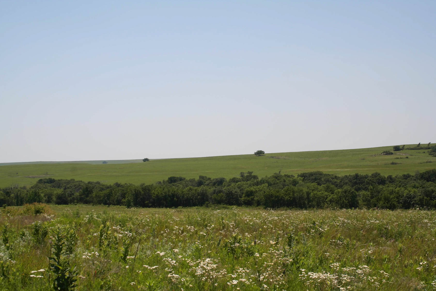 Nehring Creek property picture 20 of 25