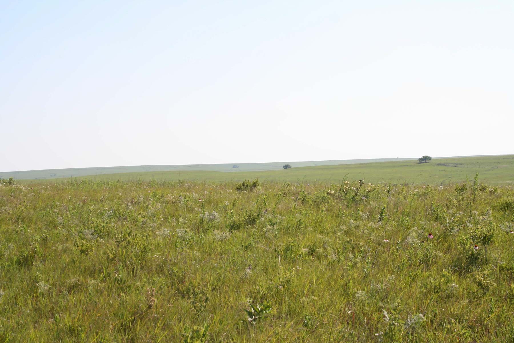 Nehring Creek property picture 24 of 25