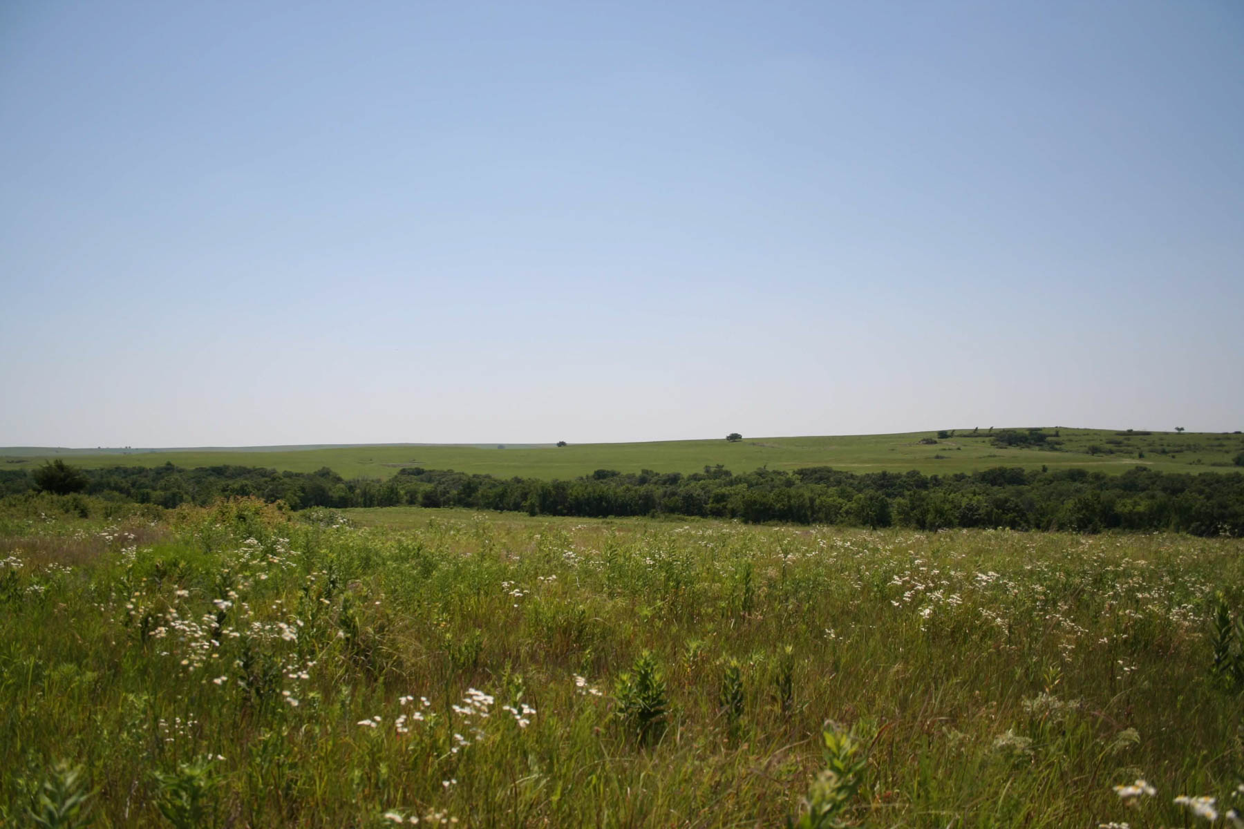 Nehring Creek property picture 10 of 25