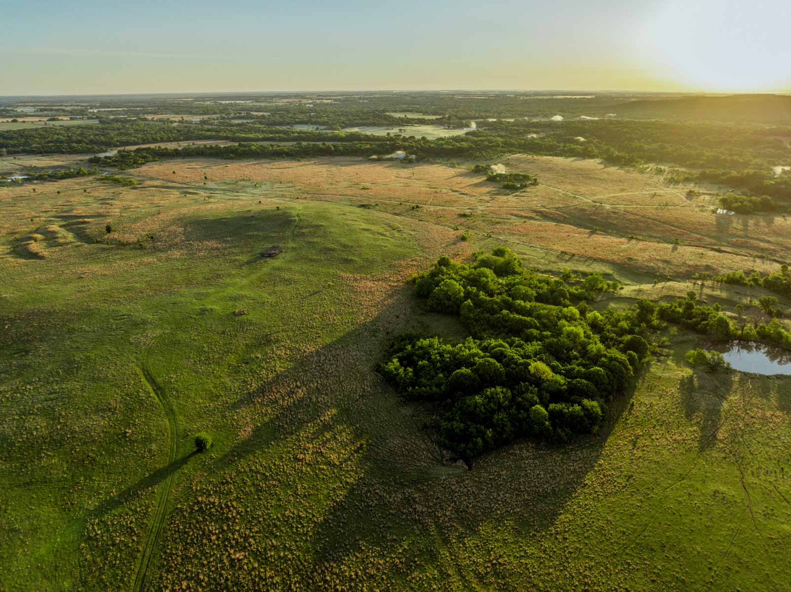 Gardner Ranch property picture 14 of 91
