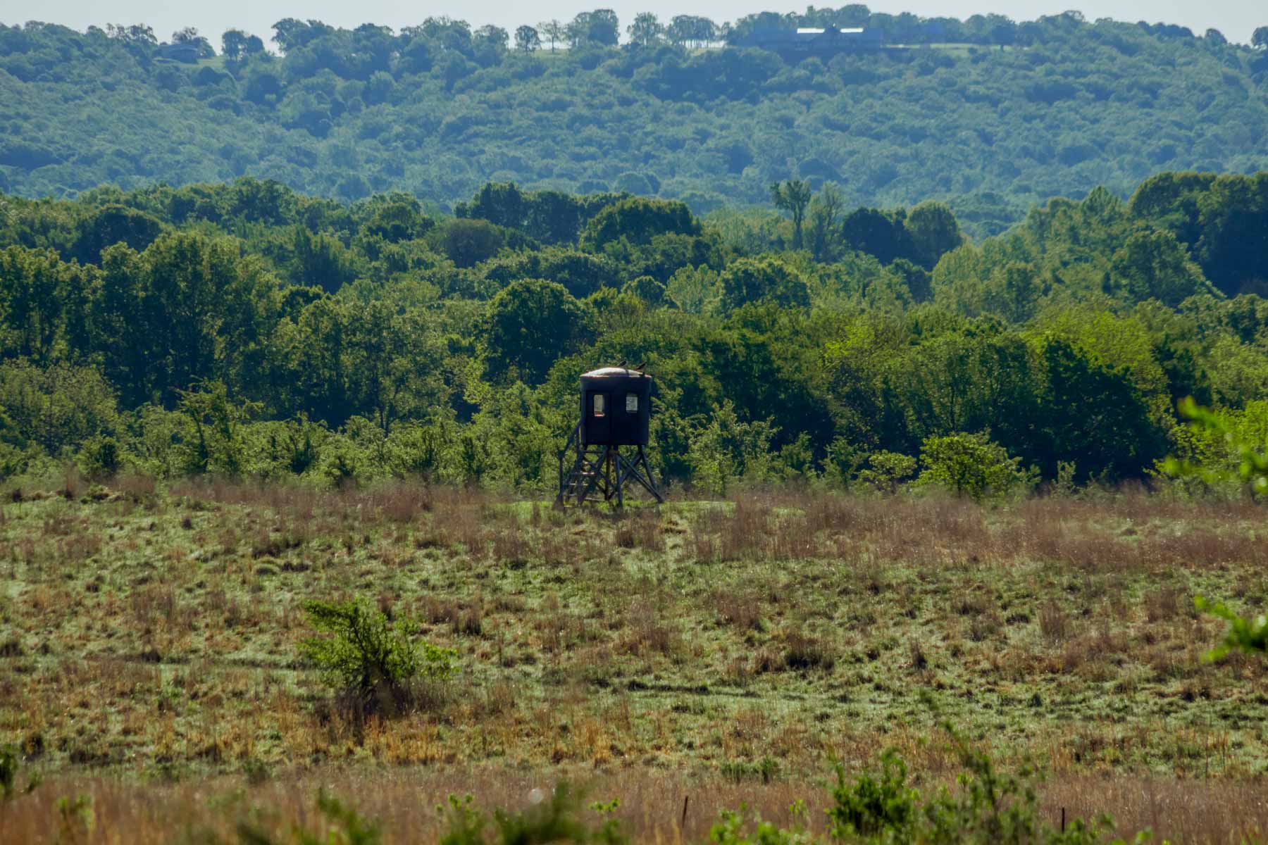 Gardner Ranch property picture 52 of 91