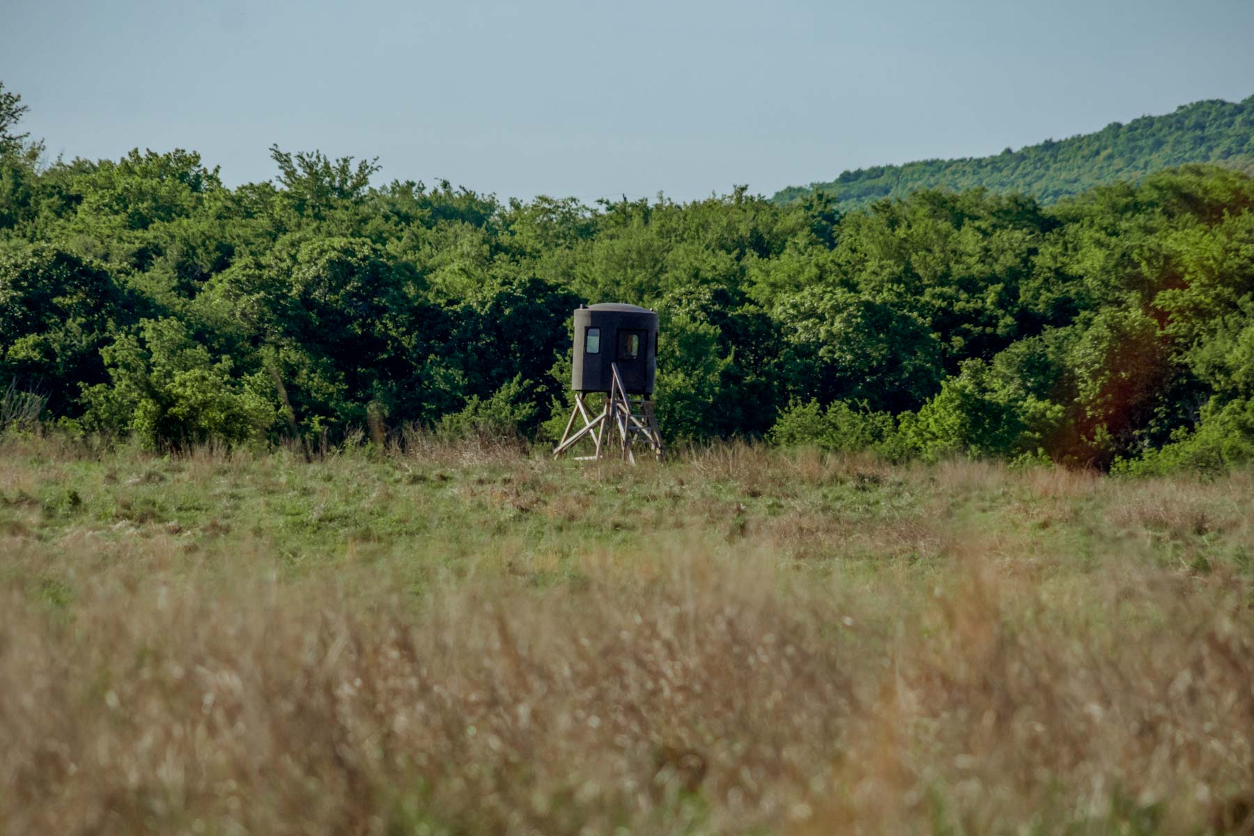 Gardner Ranch property picture 56 of 91