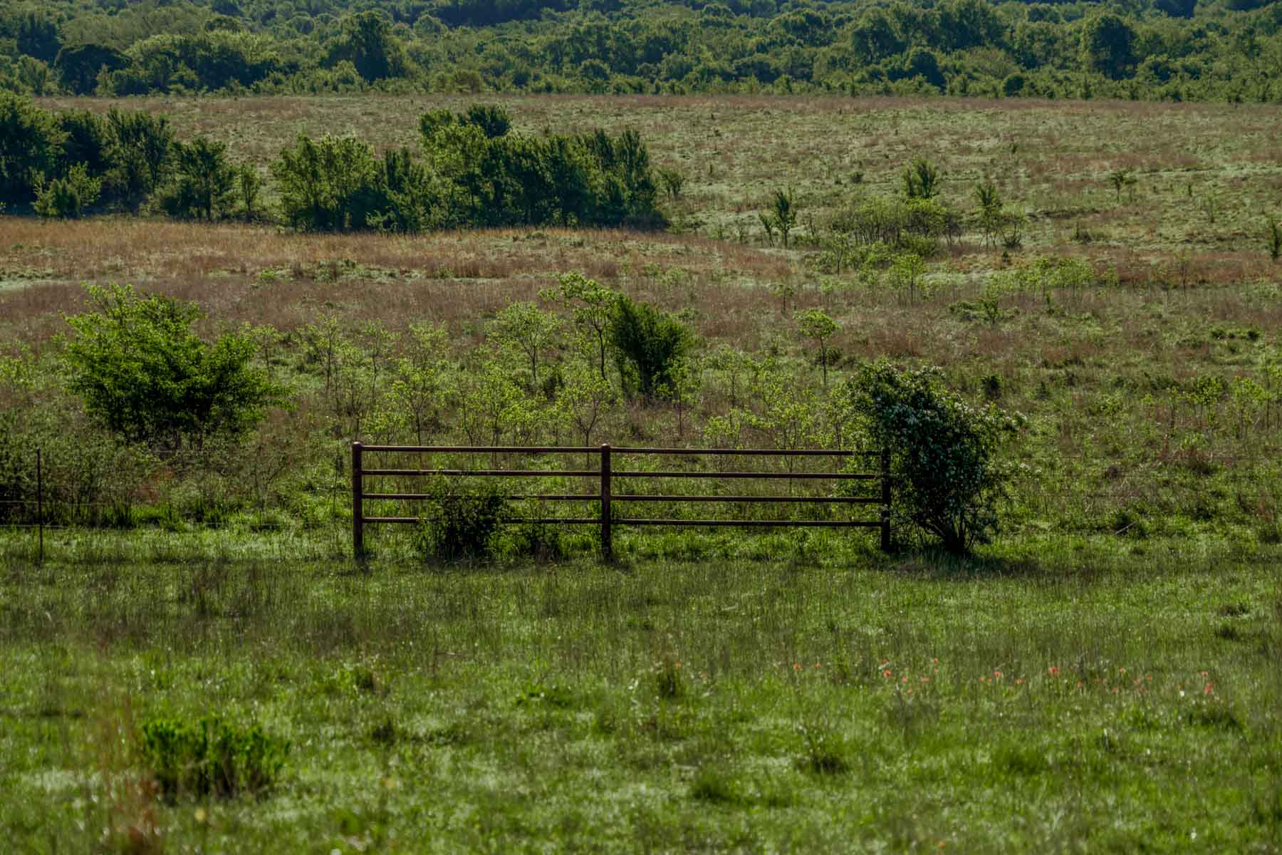 Gardner Ranch property picture 53 of 91
