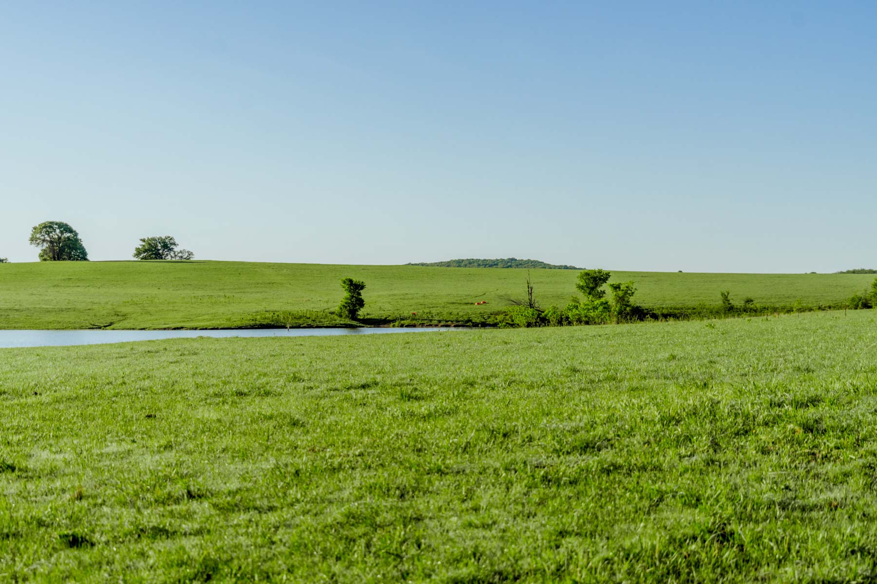 Gardner Ranch property picture 46 of 91