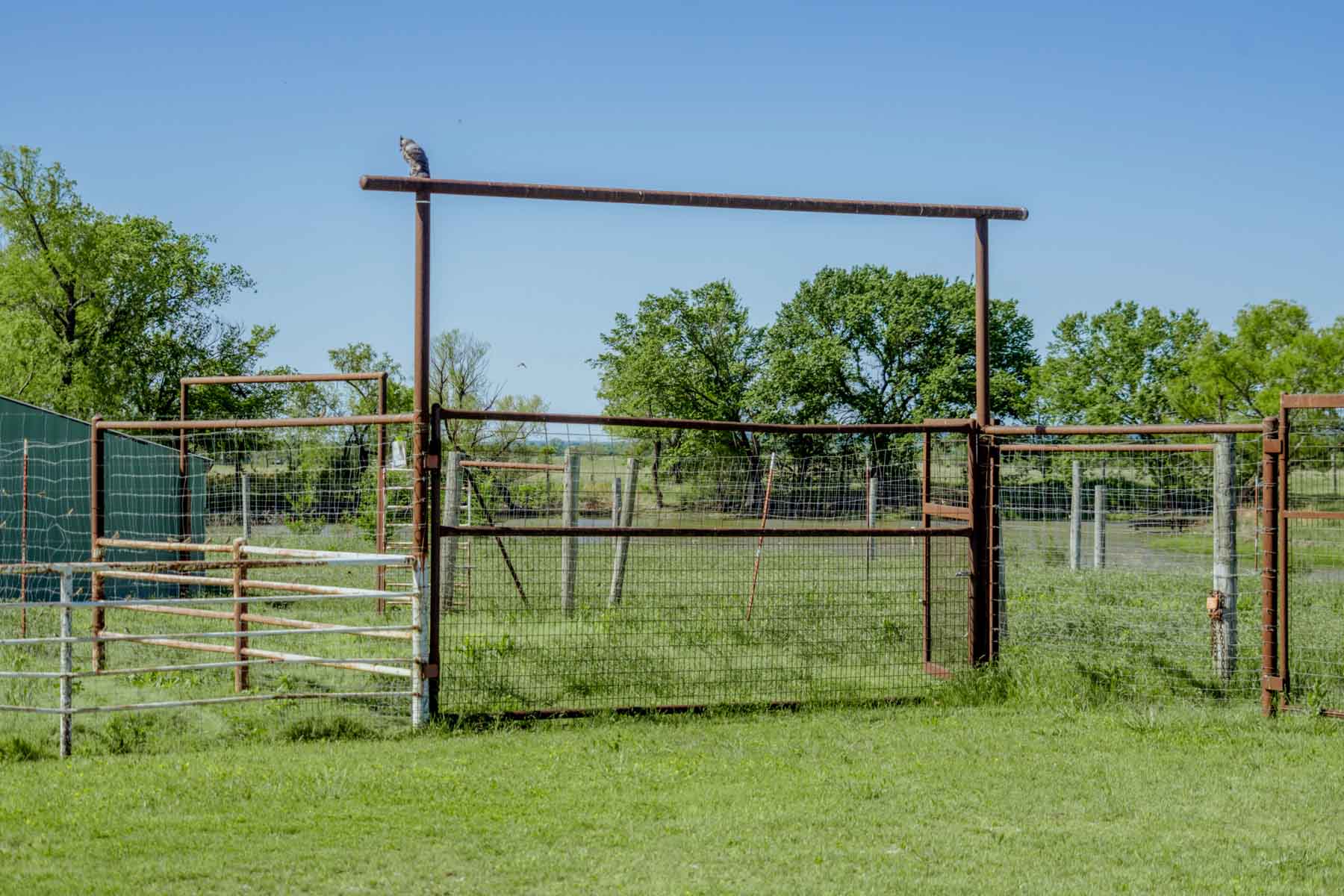 Gardner Ranch property picture 59 of 91