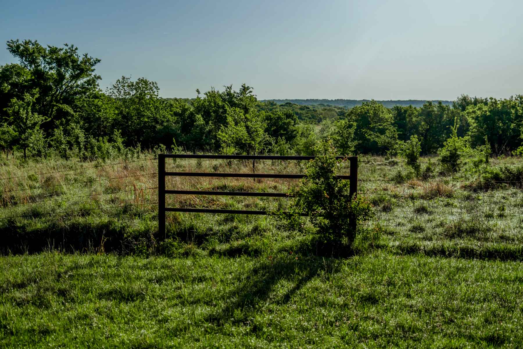 Gardner Ranch property picture 49 of 91
