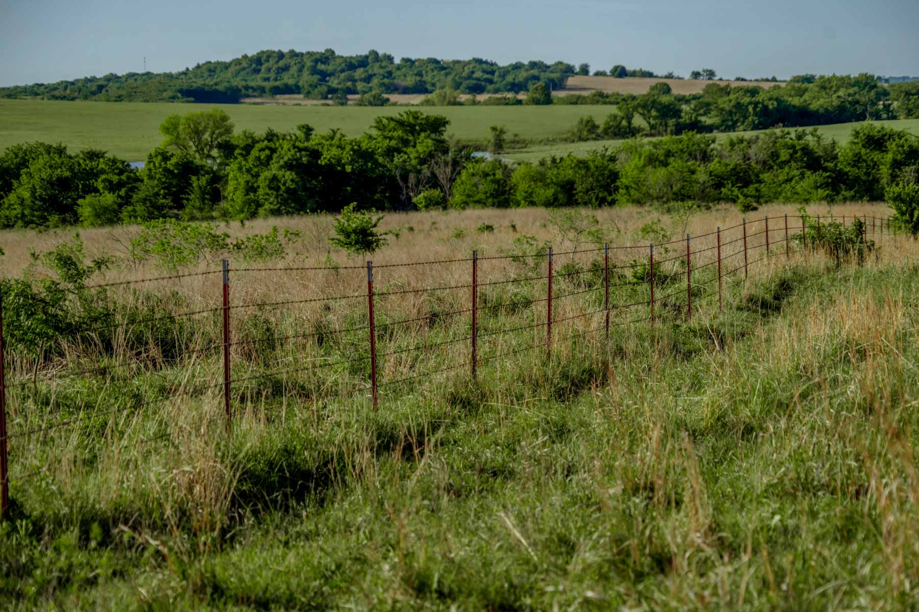 Gardner Ranch property picture 54 of 91
