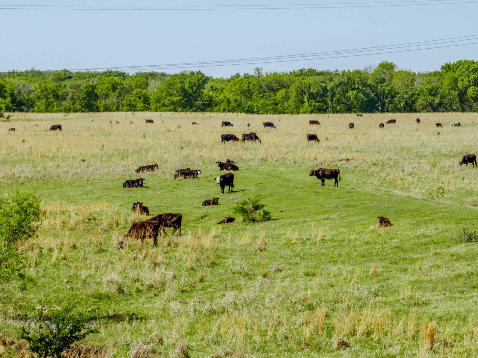 Gardner Ranch property picture 89 of 91