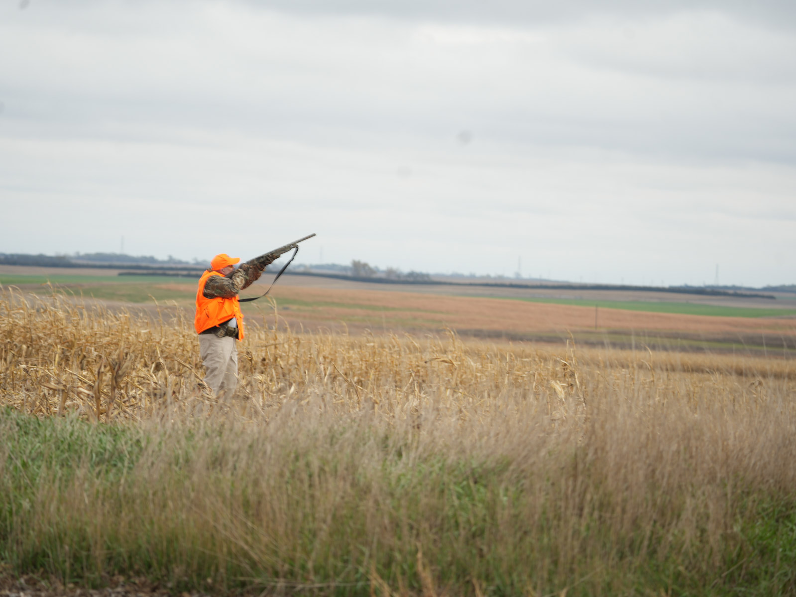 LaForge Farm & Hunting Land property picture 26 of 64