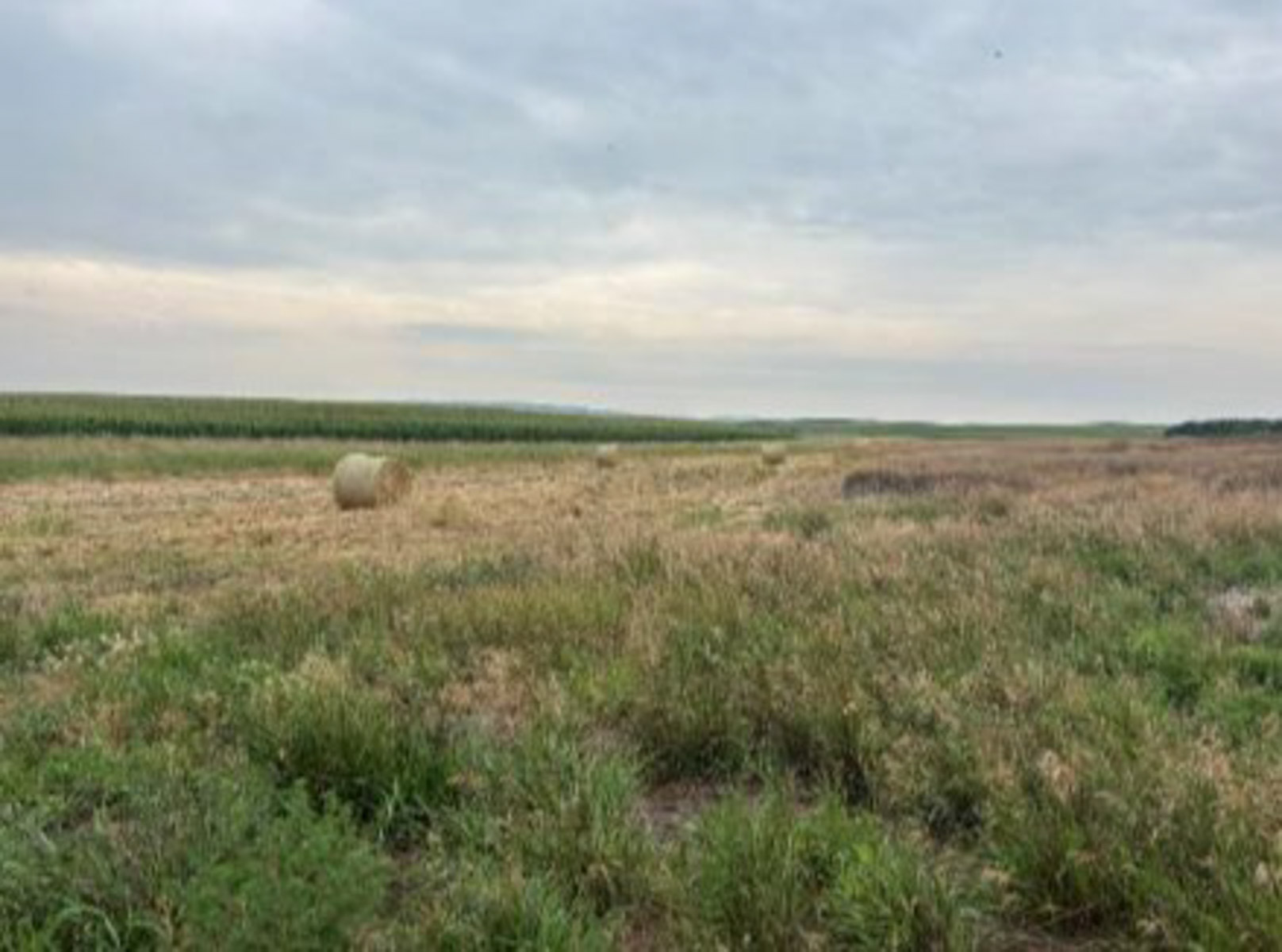 LaForge Farm & Hunting Land property picture 11 of 64