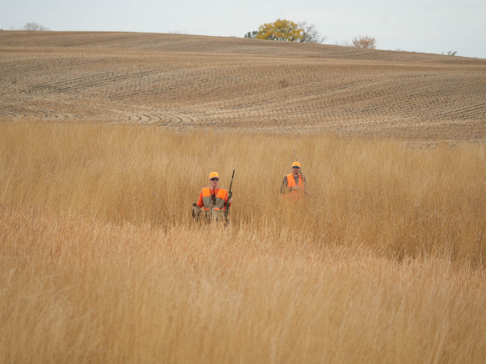 LaForge Farm & Hunting Land property picture 13 of 64