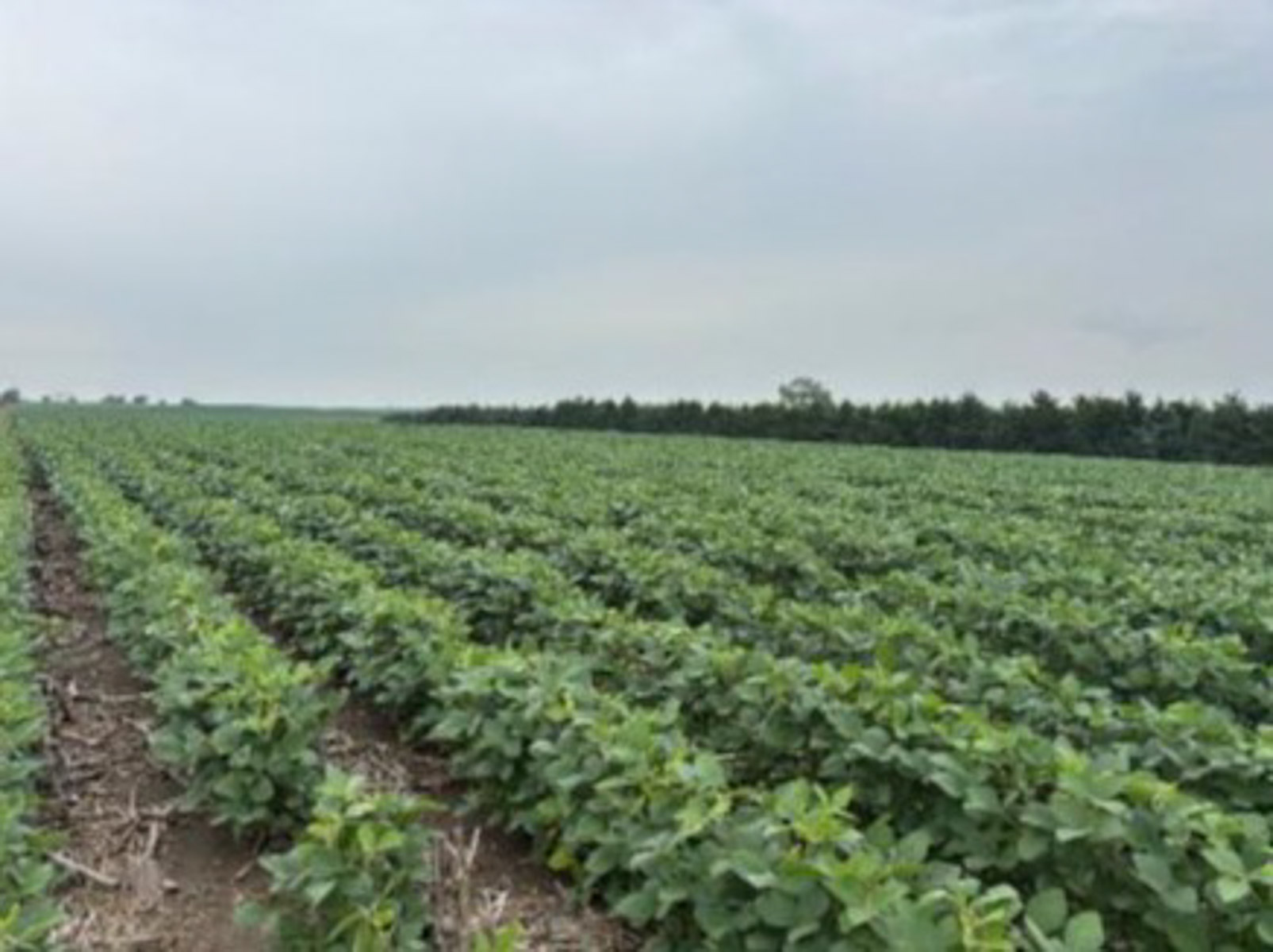 LaForge Farm & Hunting Land property picture 18 of 64