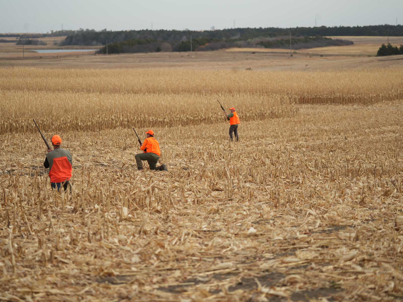 LaForge Farm & Hunting Land property picture 11 of 64