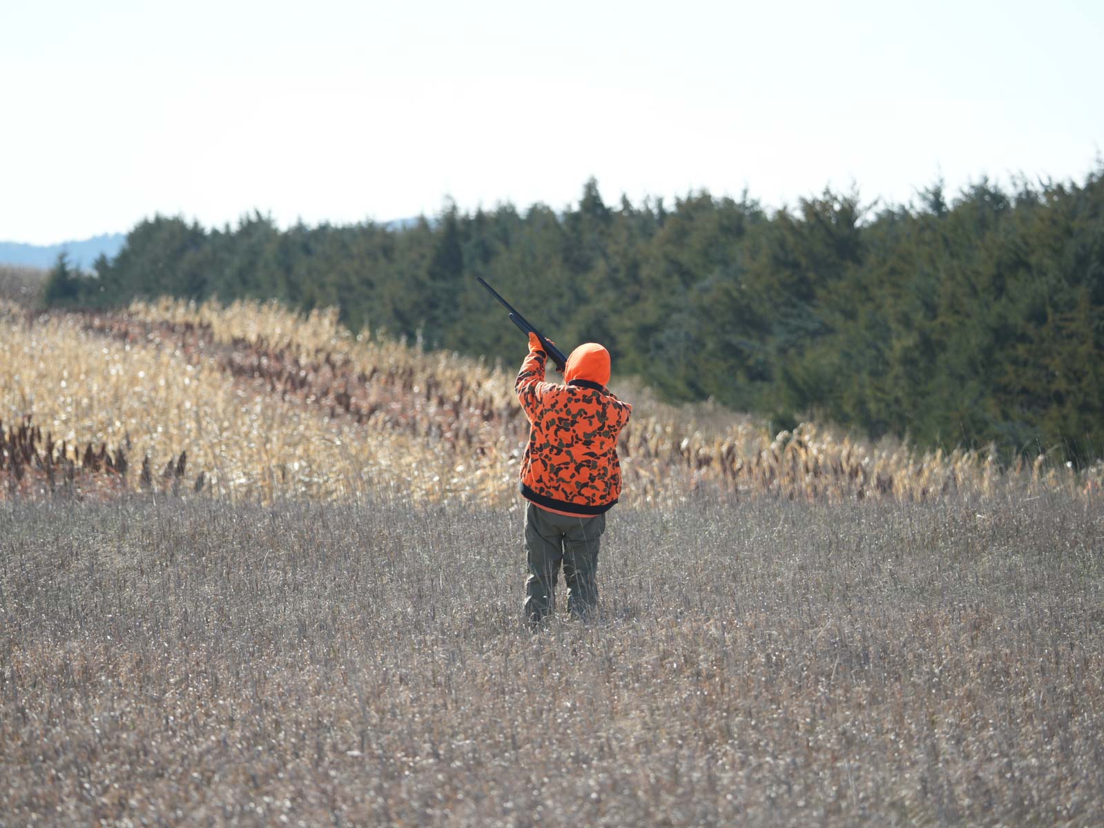 LaForge Farm & Hunting Land property picture 3 of 64